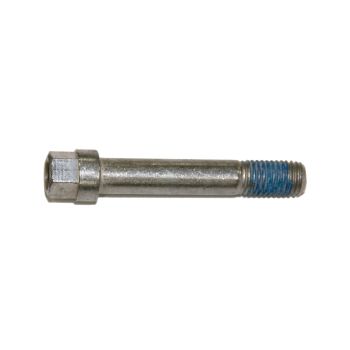 M11 X 1,5" screw for 3.5K rotor brake DEXTER