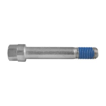 Stainless steel bolt for 225 & 250 calipers KODIAK