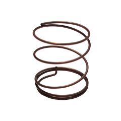 Ressort d'aimant 10"-12" DEXTER